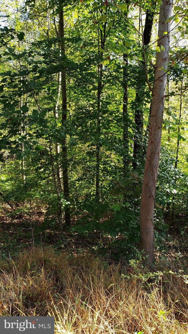 0 Vaught Dr unit VAWR138412, Front Royal, VA 22630 - photo 3