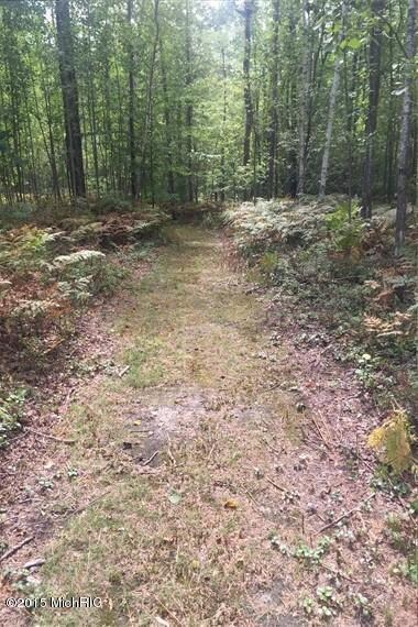 0 Tonkey Rd unit 15049868, Standish, MI 48658 - photo 3