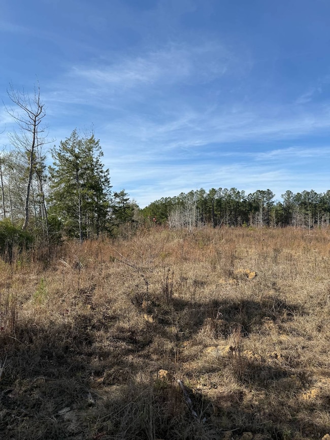 3160 Rd, Preston, MS 39354 - photo 3