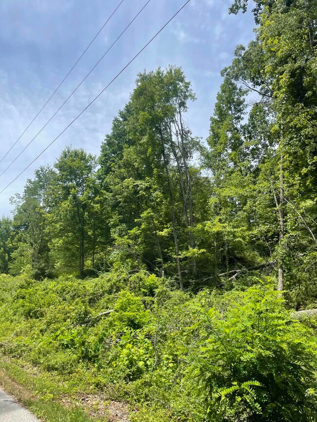 1553 Allen Rd, Booneville, KY 41314 - photo 5