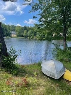 IMG_5291