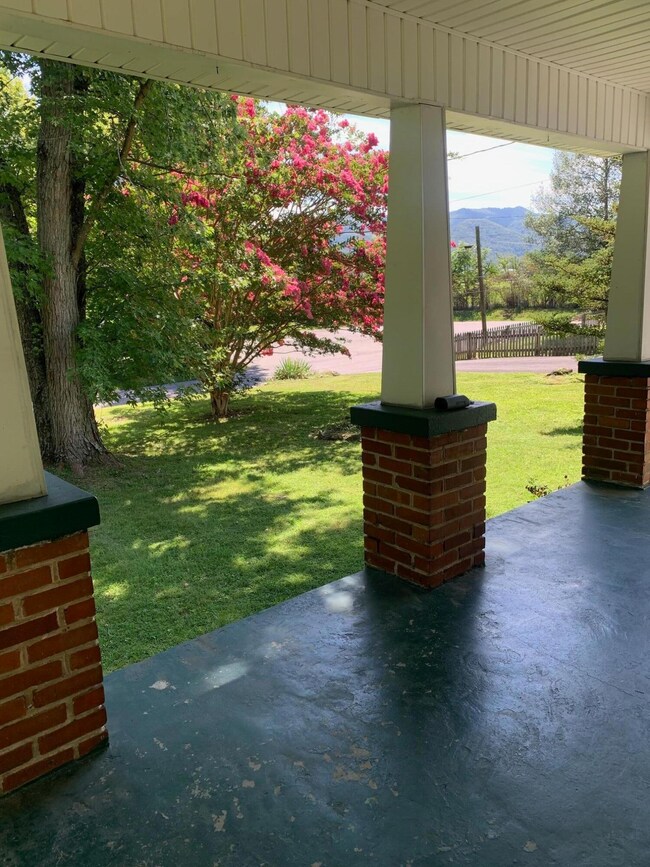 155 E Grand Ave, Johnson City, TN 37601 - photo 3