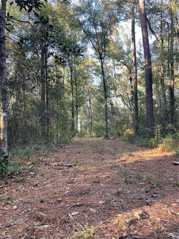 TBD Harvey Lavigne Rd, Ponchatoula, LA 70454 - photo 4