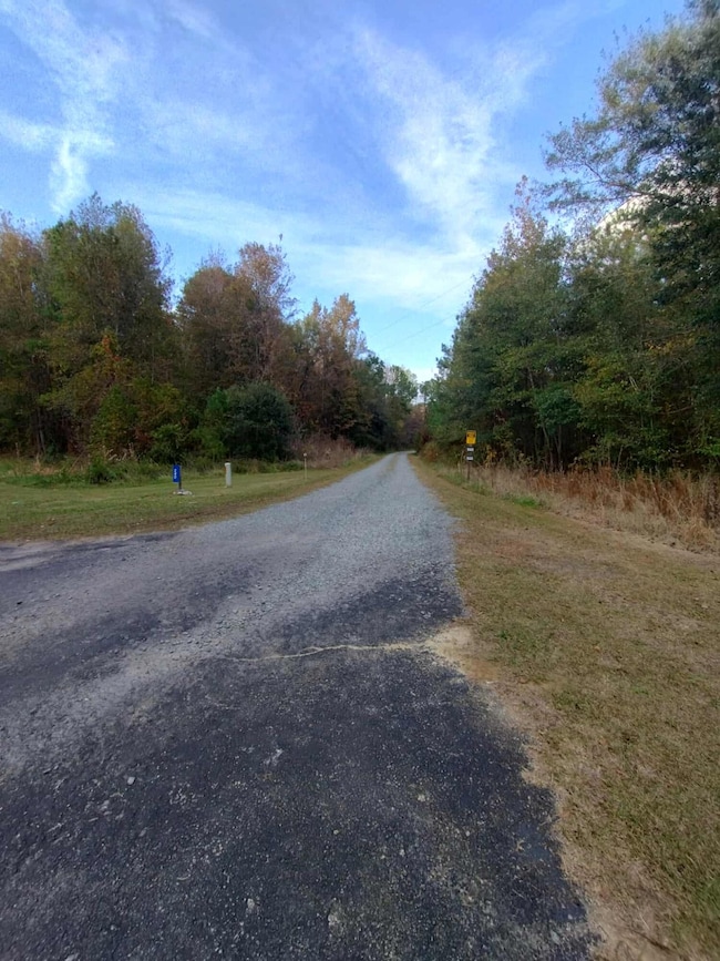 236 Julius Rd, Kingstree, SC 29556 - photo 4