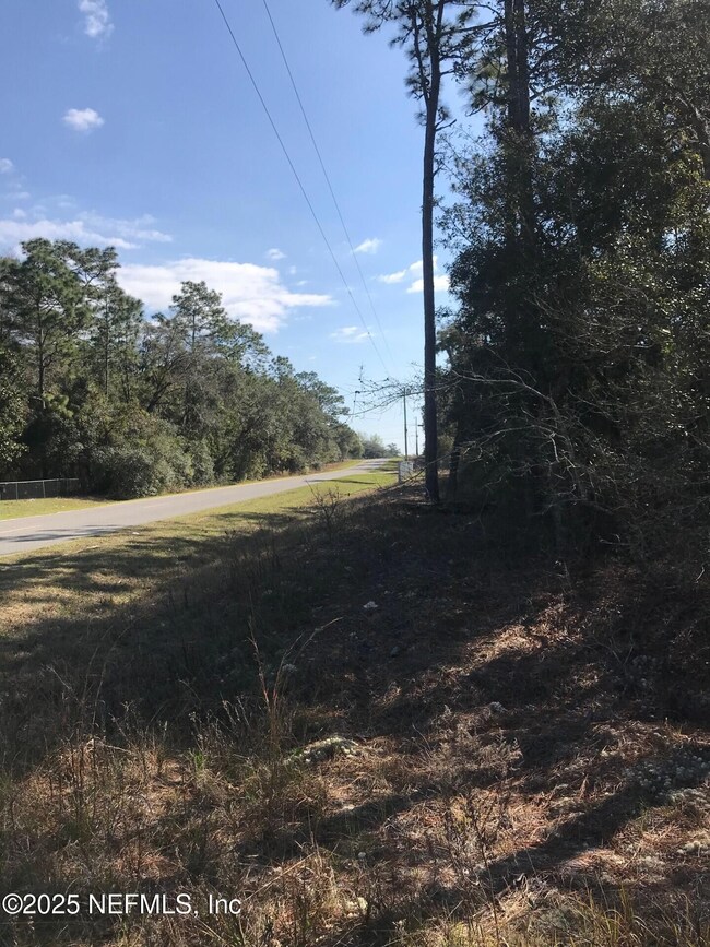 404 Mourning Dove Rd, Satsuma, FL 32189 - photo 5