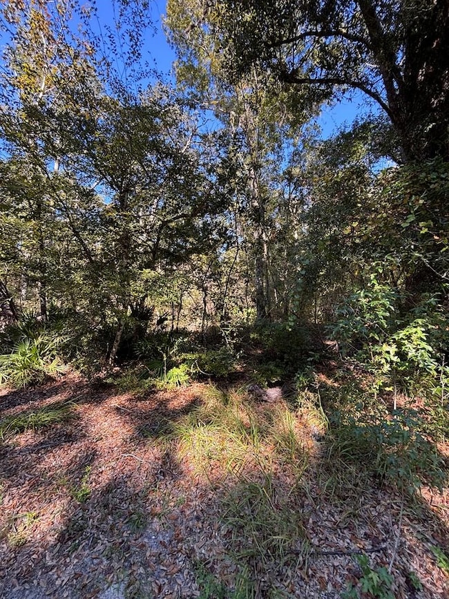 Lot 2 SE 843rd St, Old Town, FL 32680 - photo 4