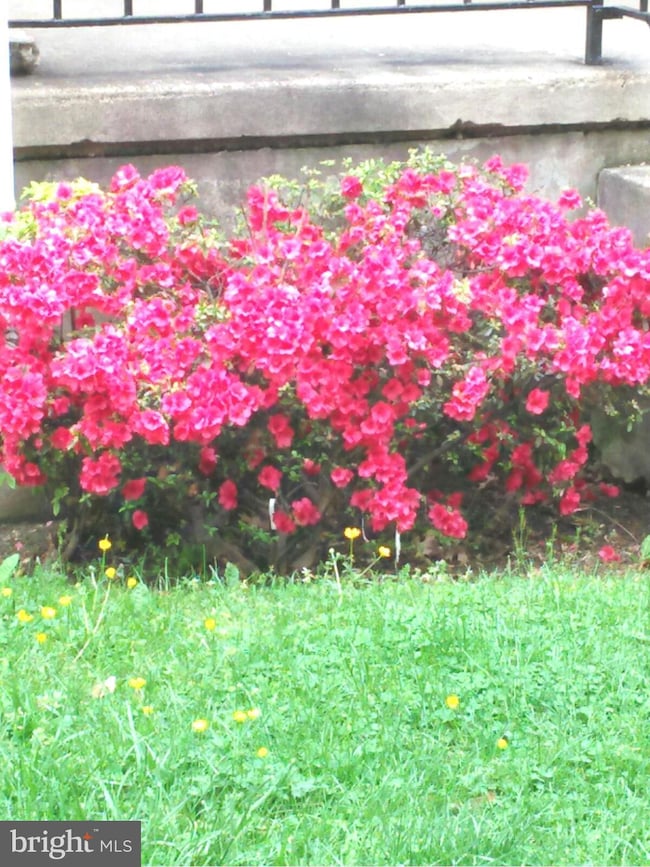 347 Denison St, Baltimore, MD 21229 - photo 2