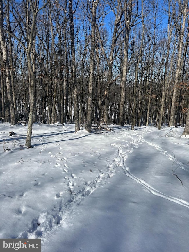 31 Turnberry Ln, Hazle Township, PA 18202 - photo 6