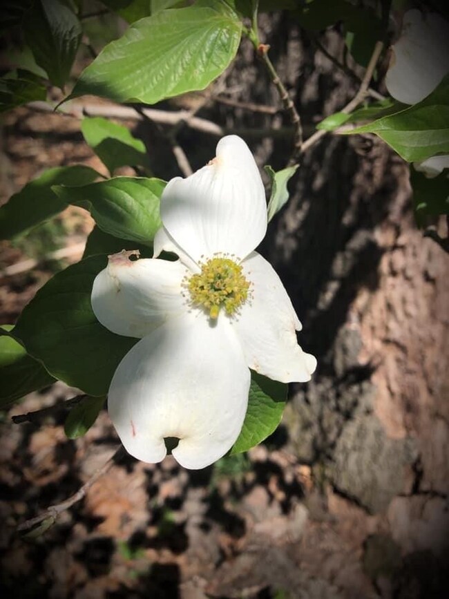 0 Cr 558 unit 1137841, Colcord, OK 74338 - photo 3