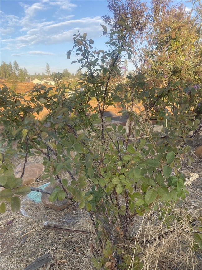 5640 Gramercy Place, Paradise, CA 95969 - photo 6