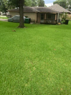 2519 Areba St St, Houston, TX 77091 - photo 3