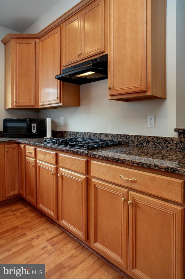 22707 Settlers Trail Terrace, Ashburn, VA 20148 - photo 6