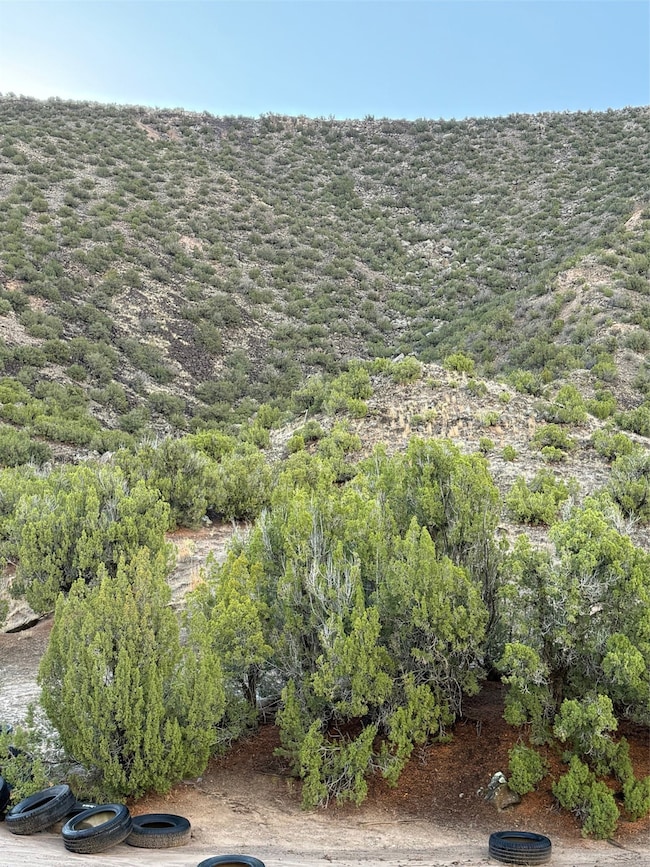TBD LOT 3 Juniper Rd, Ojo Caliente, NM 87549 - photo 3