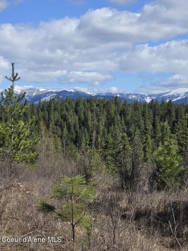 NKA Mulch Creek Rd, Saint Maries, ID 83861 - photo 4