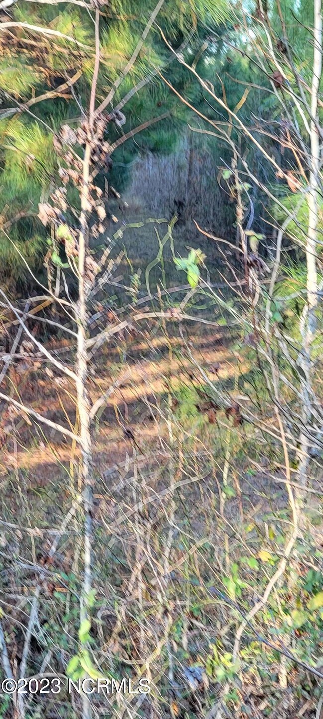 3 N Carolina 87, Pittsboro, NC 27312 - photo 2