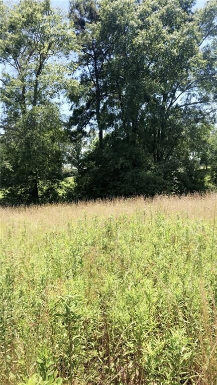 0 Brumfield Rd, Franklinton, LA 70438 - photo 3