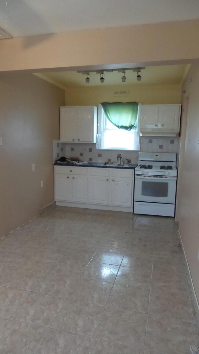 317 Norway Ave, Staten Island, NY 10305 - photo 3