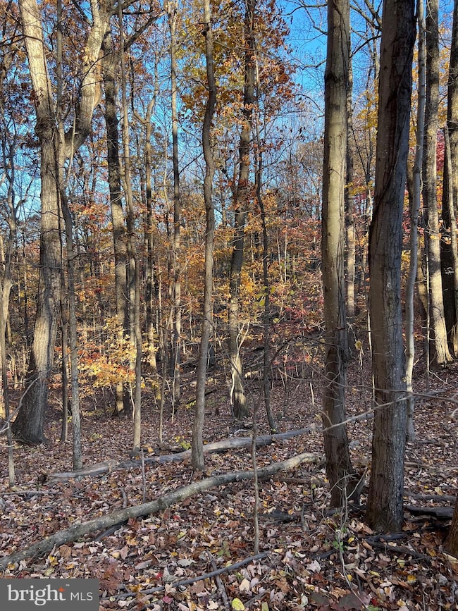 0 Timberline Ridge Rd unit VAWR2012716, Front Royal, VA 22630 - photo 4