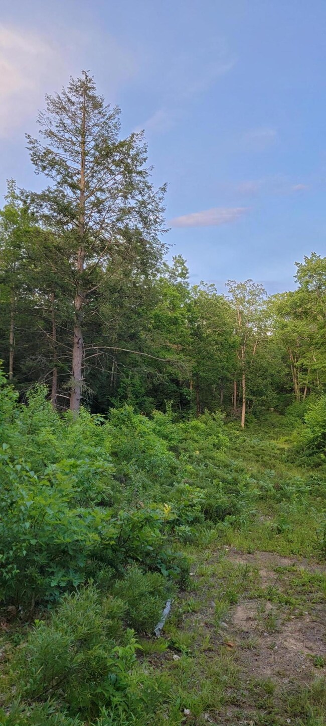 00 Off Earls Rd, South Berwick, ME 03908 - photo 3