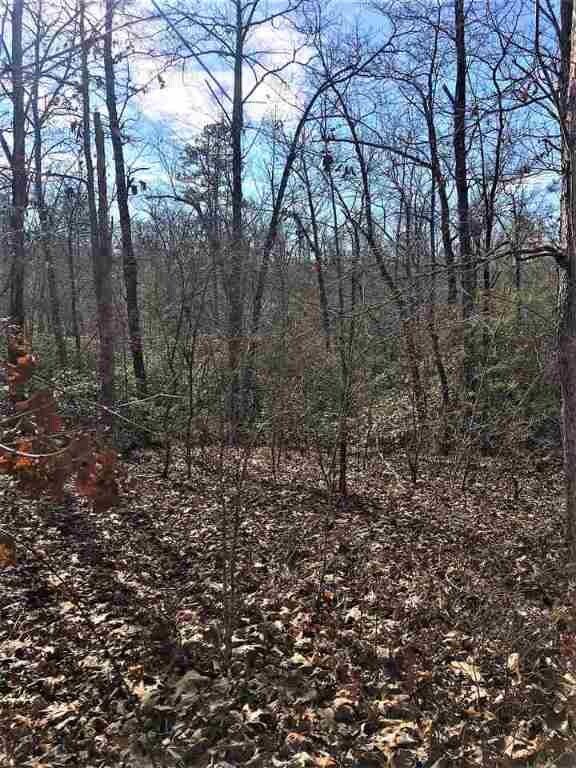 Lay Mill Rd Cowan Prop, Walhalla, SC 29691 - photo 5