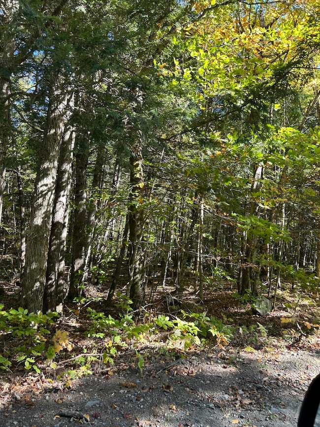 M6L16-12-3 Beaver Brook Rd, Bowerbank, ME 04426 - photo 3