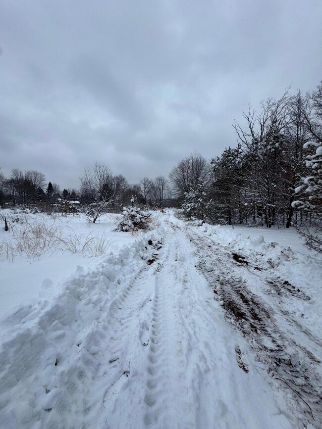 Several Cleared Openings