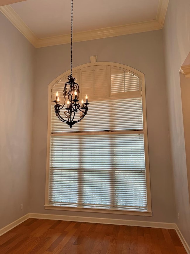 1114 Cornell Ave, Dothan, AL 36303 - photo 5