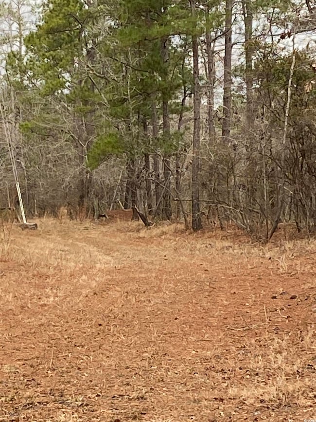 View of local wilderness