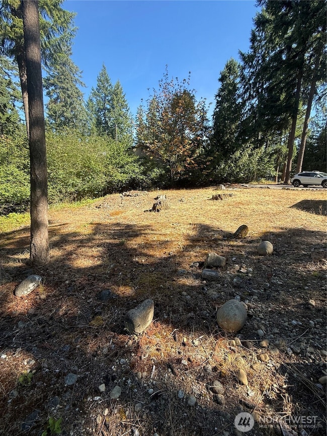 18313 Lofty Ct SE, Yelm, WA 98597 - photo 5