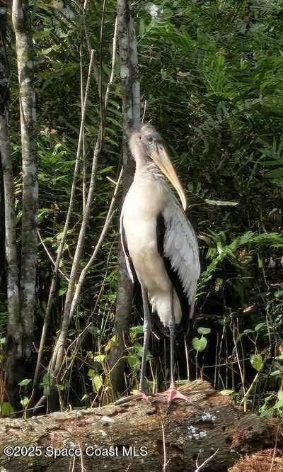 Messenger_creation_EF853DBF-3EE8-41CE-AB