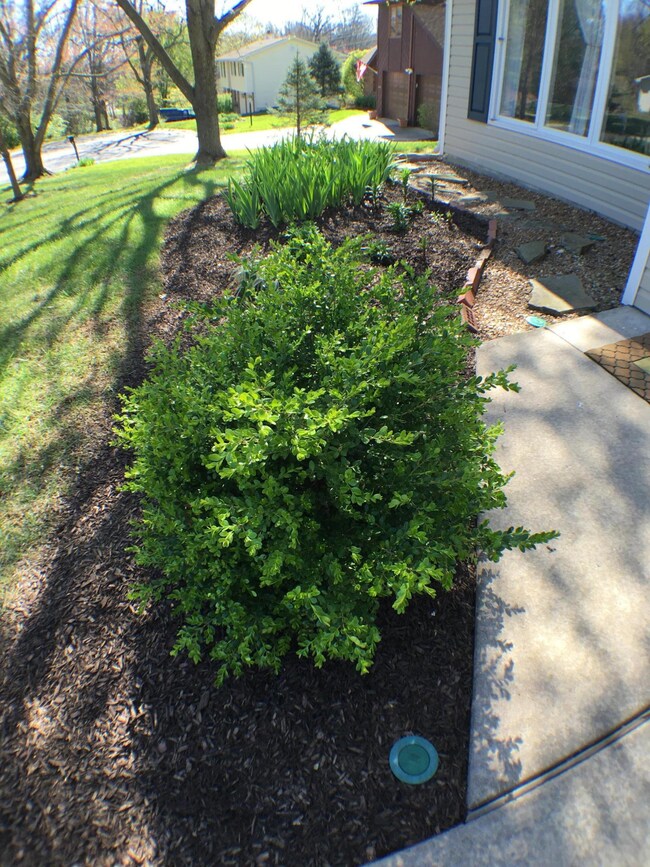 Garden3
