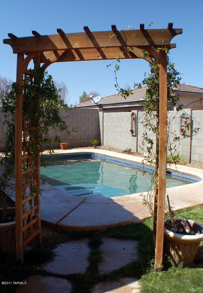 Backyard with pool