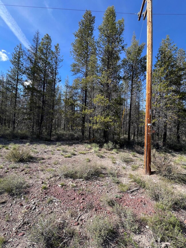 North East Corner Power Pole