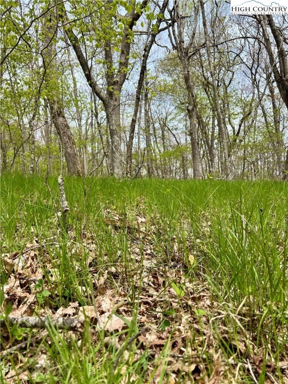 Spring is here!