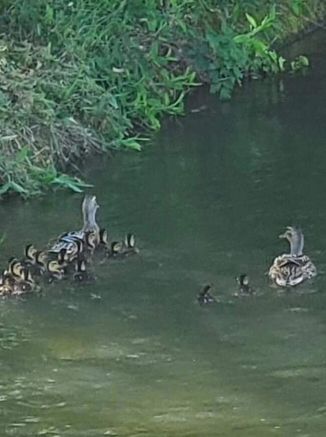 555 W Harbeck Rd, Grants Pass, OR 97527 - photo 2