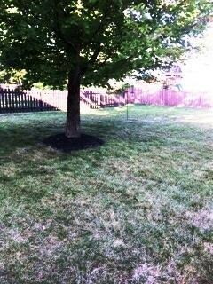 5586 Breshly Way, Westerville, OH 43081 - photo 3