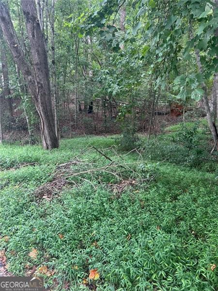 0 Rue Cezzan unit 10579900, Lavonia, GA 30553 - photo 6