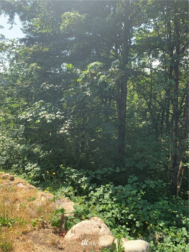 22912 133rd Street Ct E, Orting, WA 98360 - photo 3