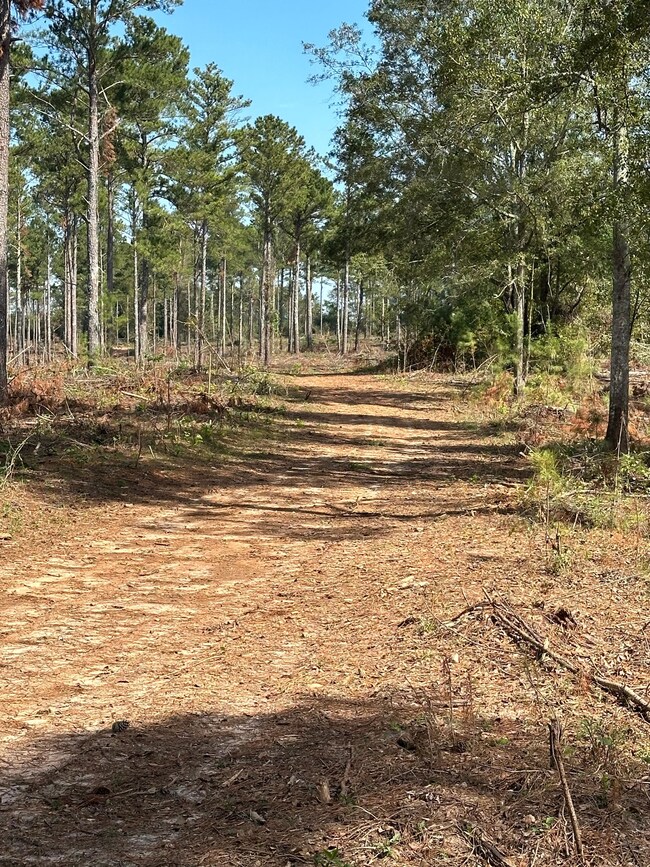 0 Seven Islands Rd unit 22542831, Madison, GA 30650 - photo 5