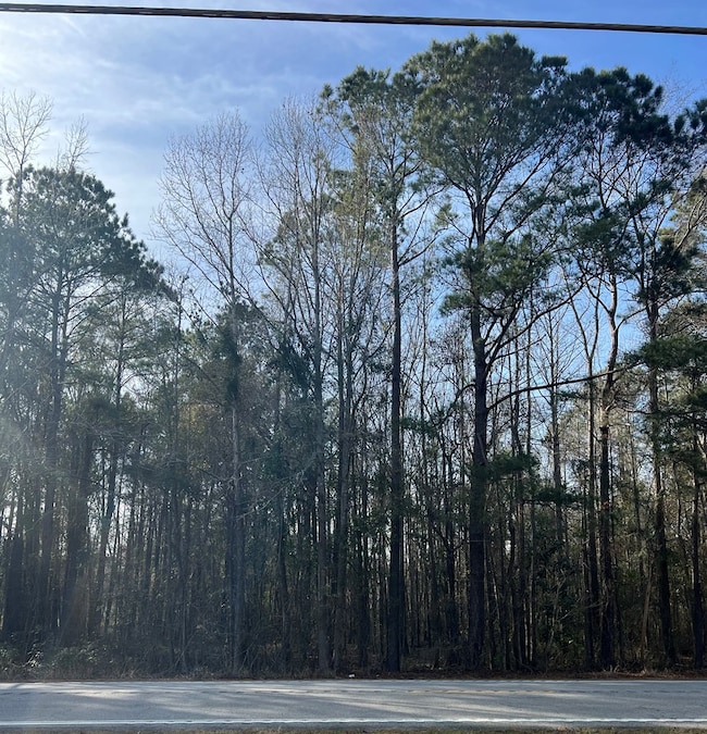 TBD S Carolina 260, Manning, SC - photo 2