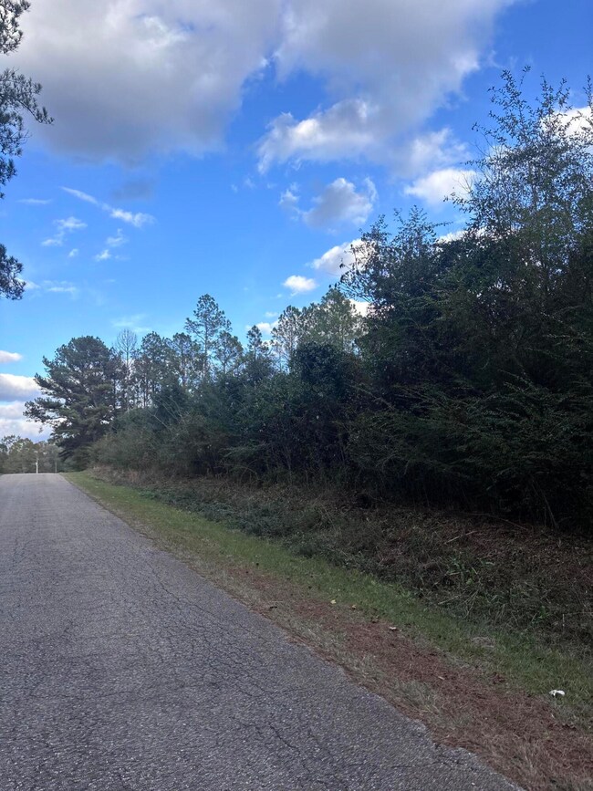 00 Phillips Rd, Sumrall, MS 39482 - photo 4