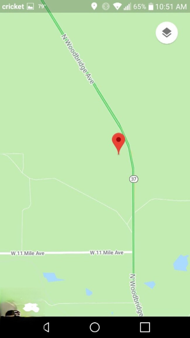 9577 N Woodbridge Rd, Bitely, MI 49309 - photo 5