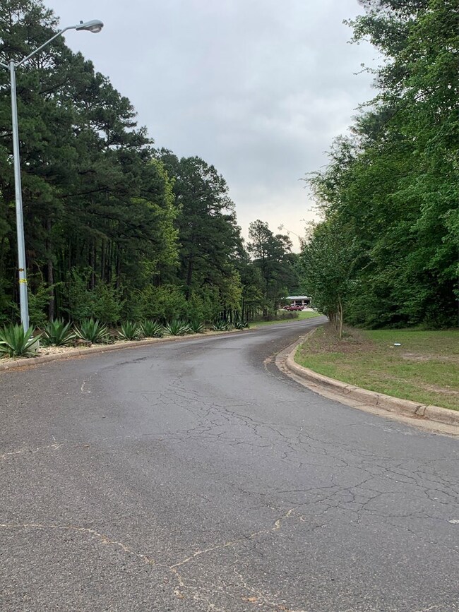 TBD Us Hwy 59 S, Nacogdoches, TX 75964 - photo 3