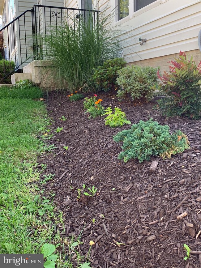 3724 Tall Grass Ct, Randallstown, MD 21133 - photo 2