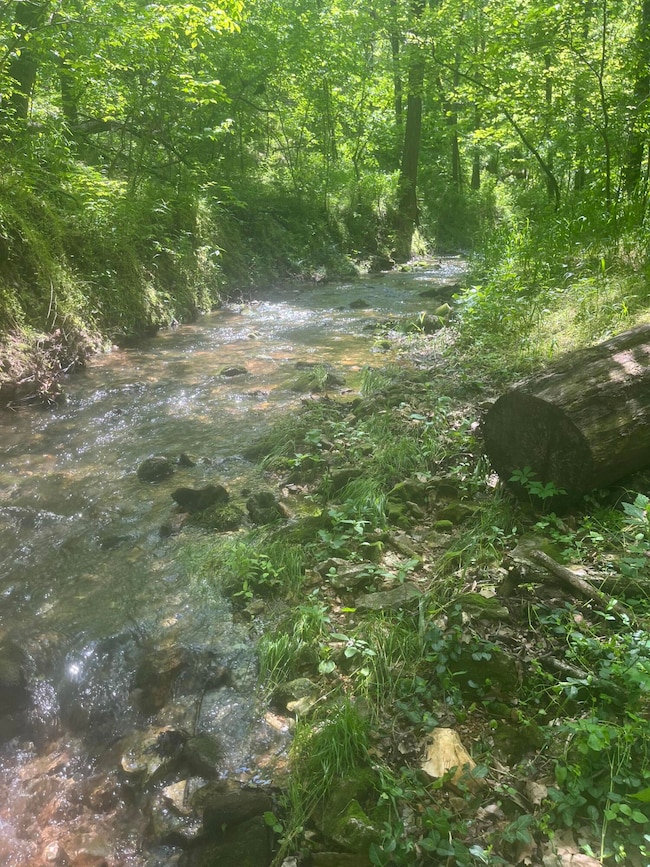 Big Spring