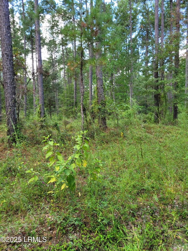 Tbd Tina Manker Rd, Ridgeland, SC 29936 - photo 4