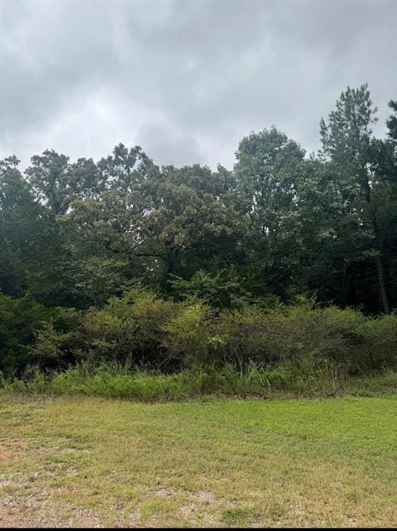 15 E Comanche St, Norman, OK 73026 - photo 4