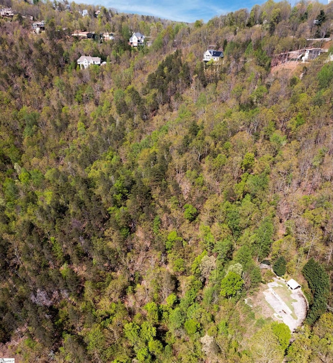 0 Laurel Ridge Rd unit Part lot 5/6, Greenville, SC 29609 - photo 6