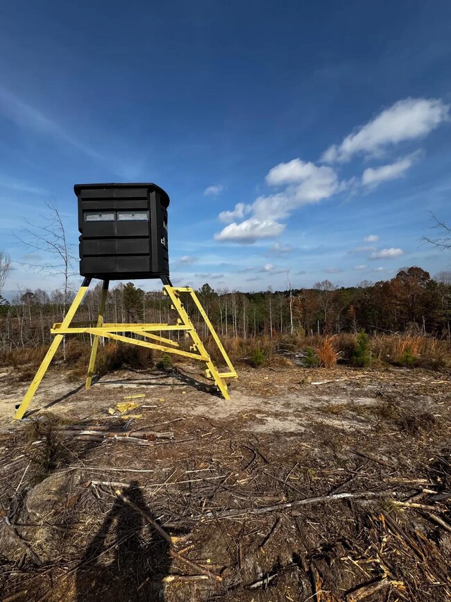 40 Boromville Rd, Hurtsboro, AL 36860 - photo 5