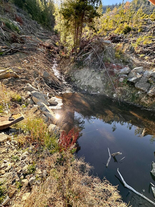 0 W Williams Creek Rd unit 220212921, Williams, OR 97544 - photo 4